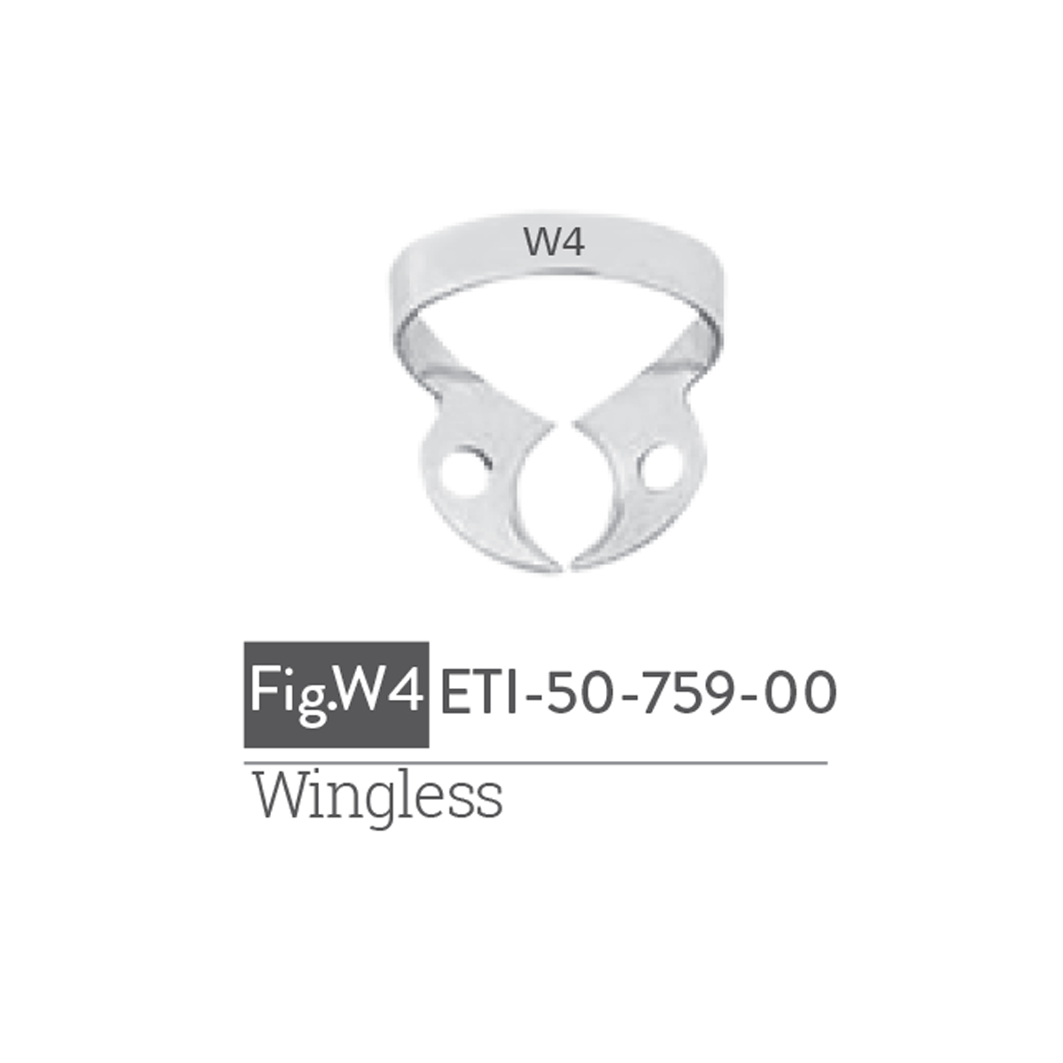 wingless4