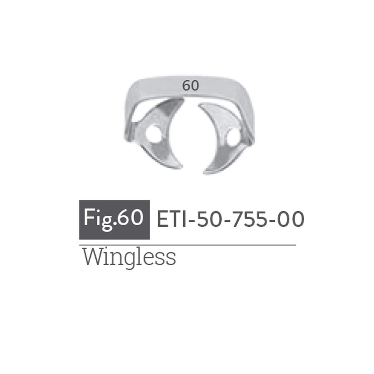 wingless2