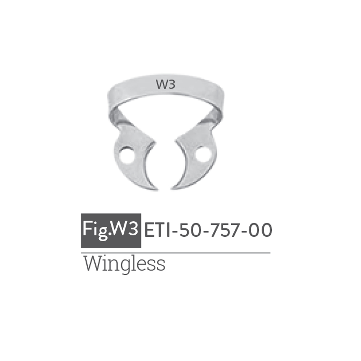 wingless3