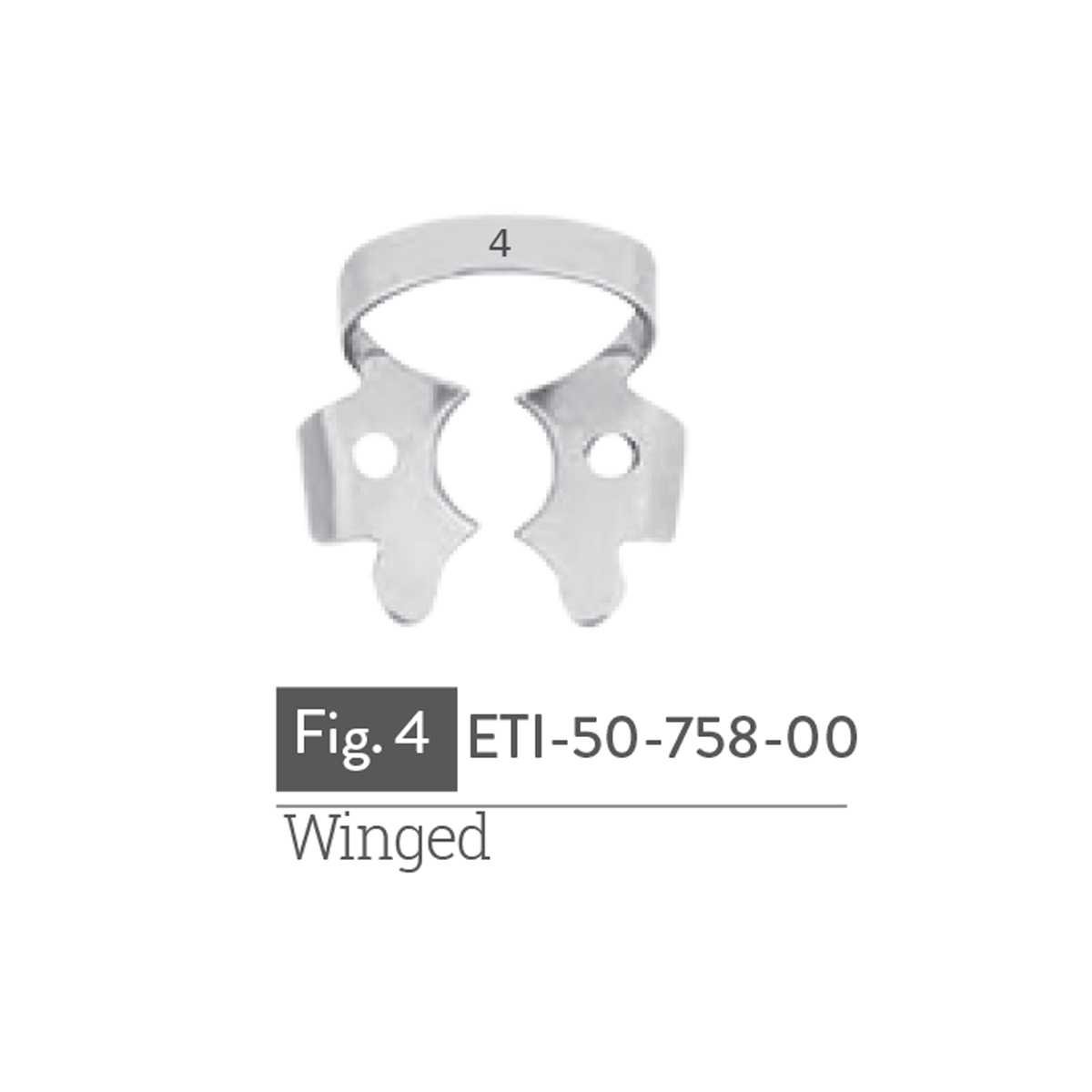 winged10