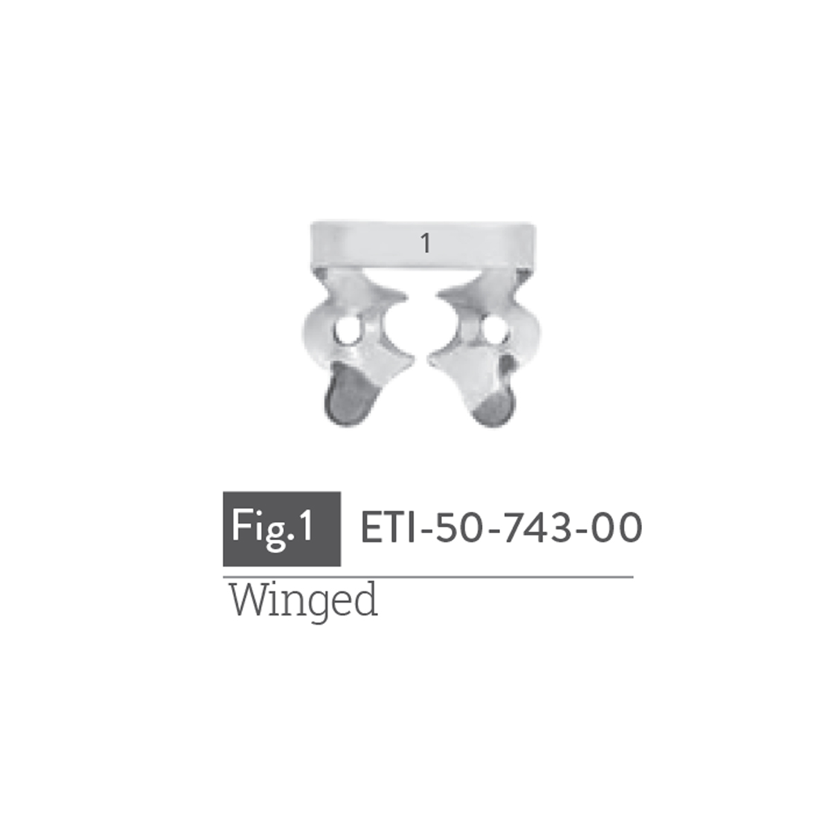 winged3