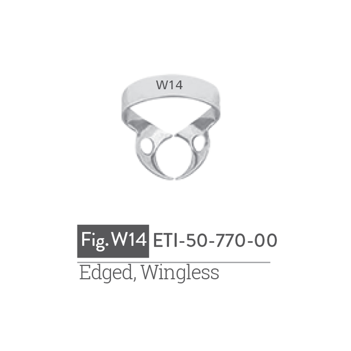 edged-wingless1