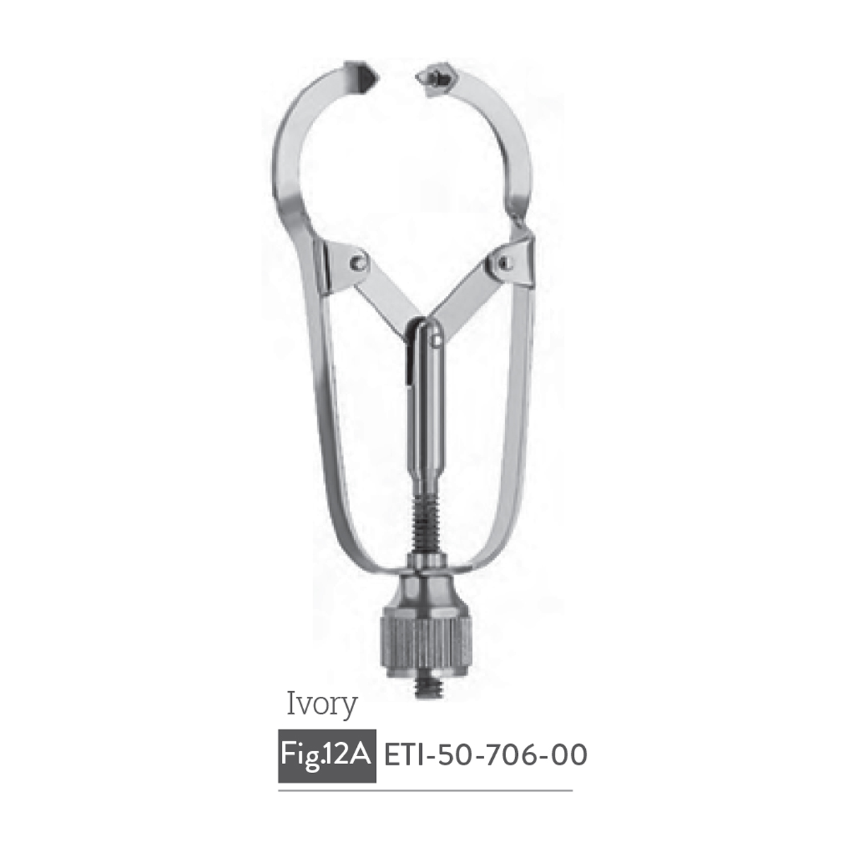 ivory2