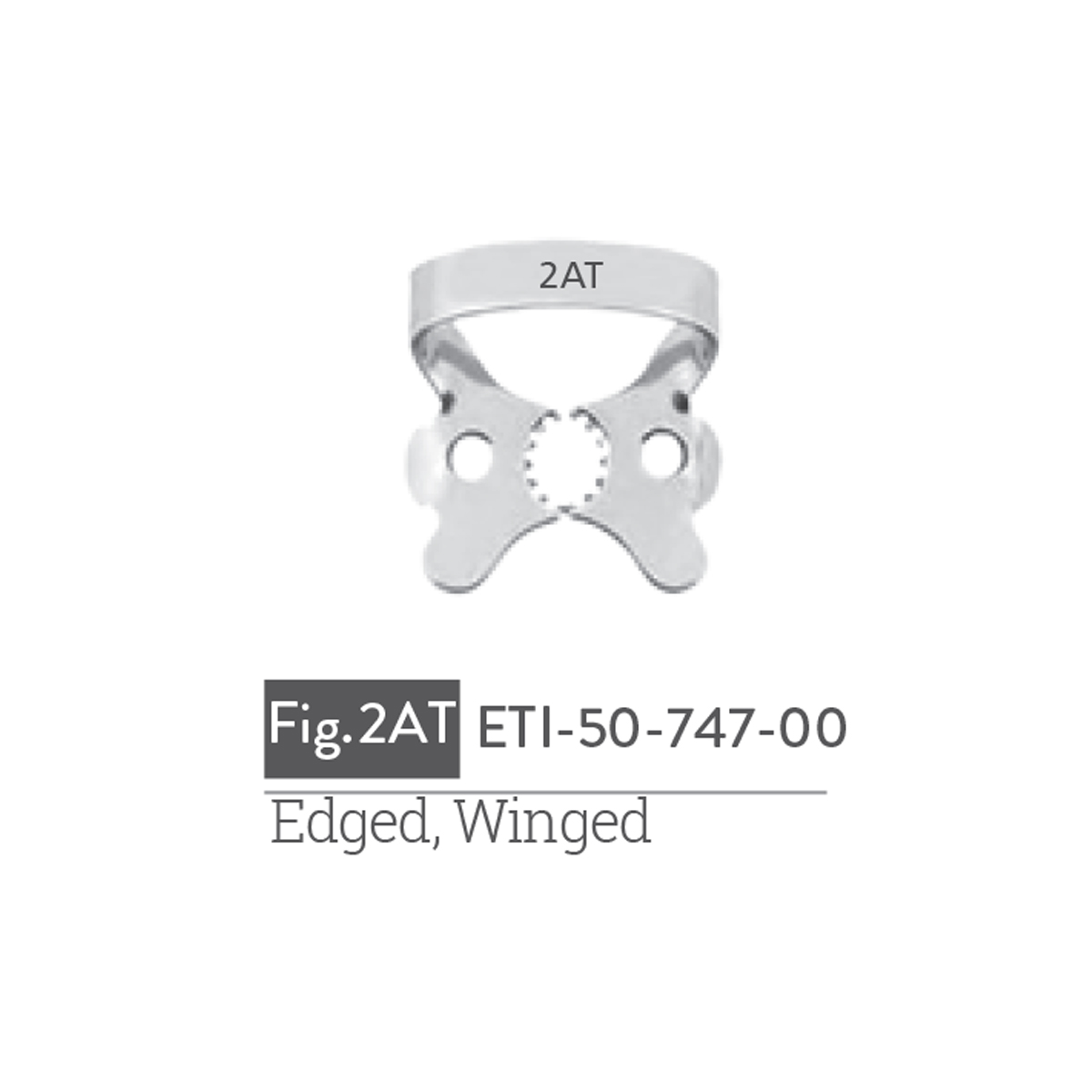 edged-winged