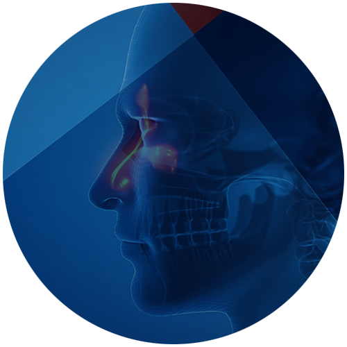ENT (Ear, Nose, Throat)