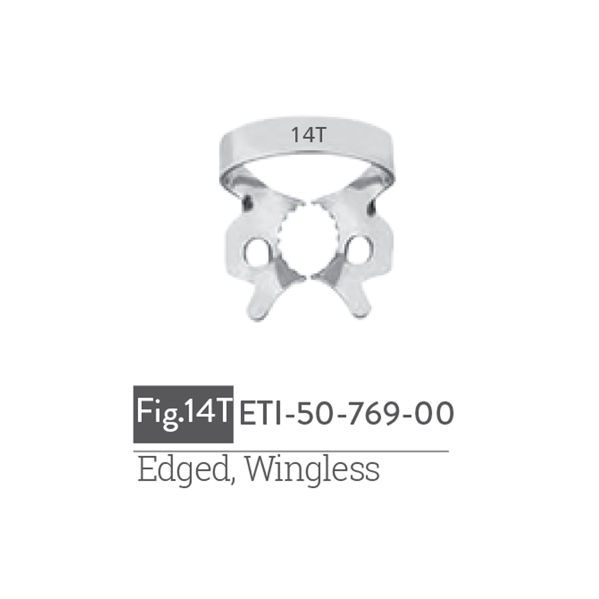edged-wingless