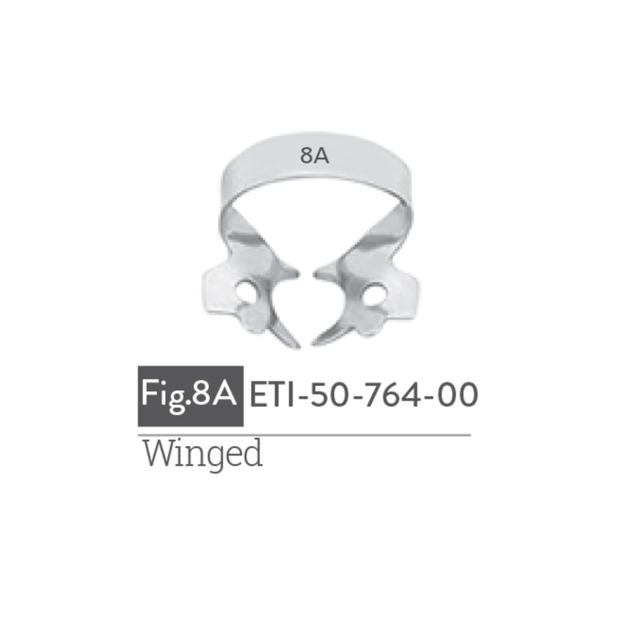 winged13