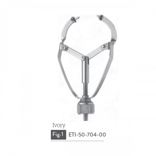 Ivory